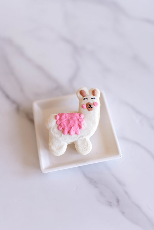Wholesale Shaped Macarons (set of 6)