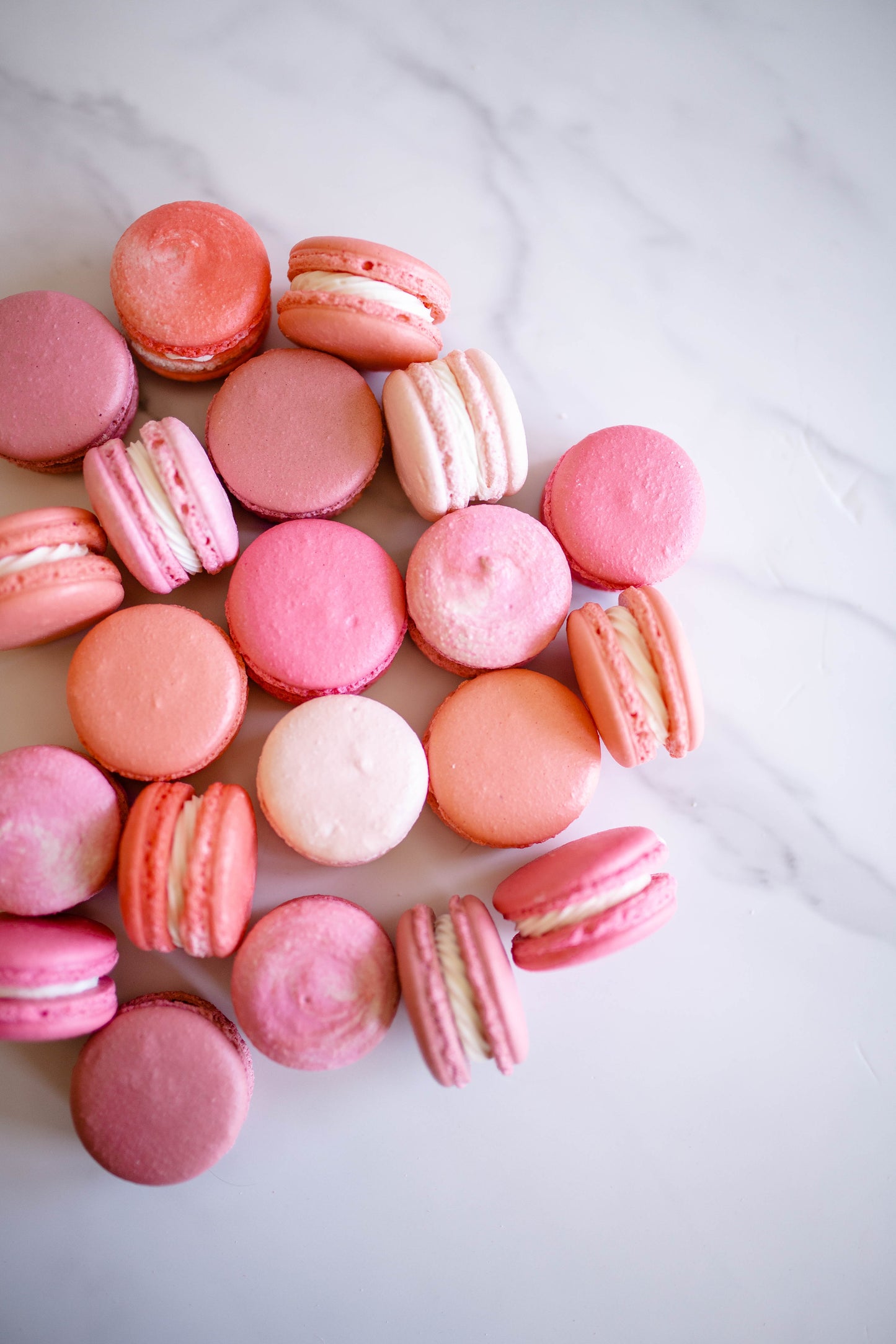 Build Your Own Macaron Box