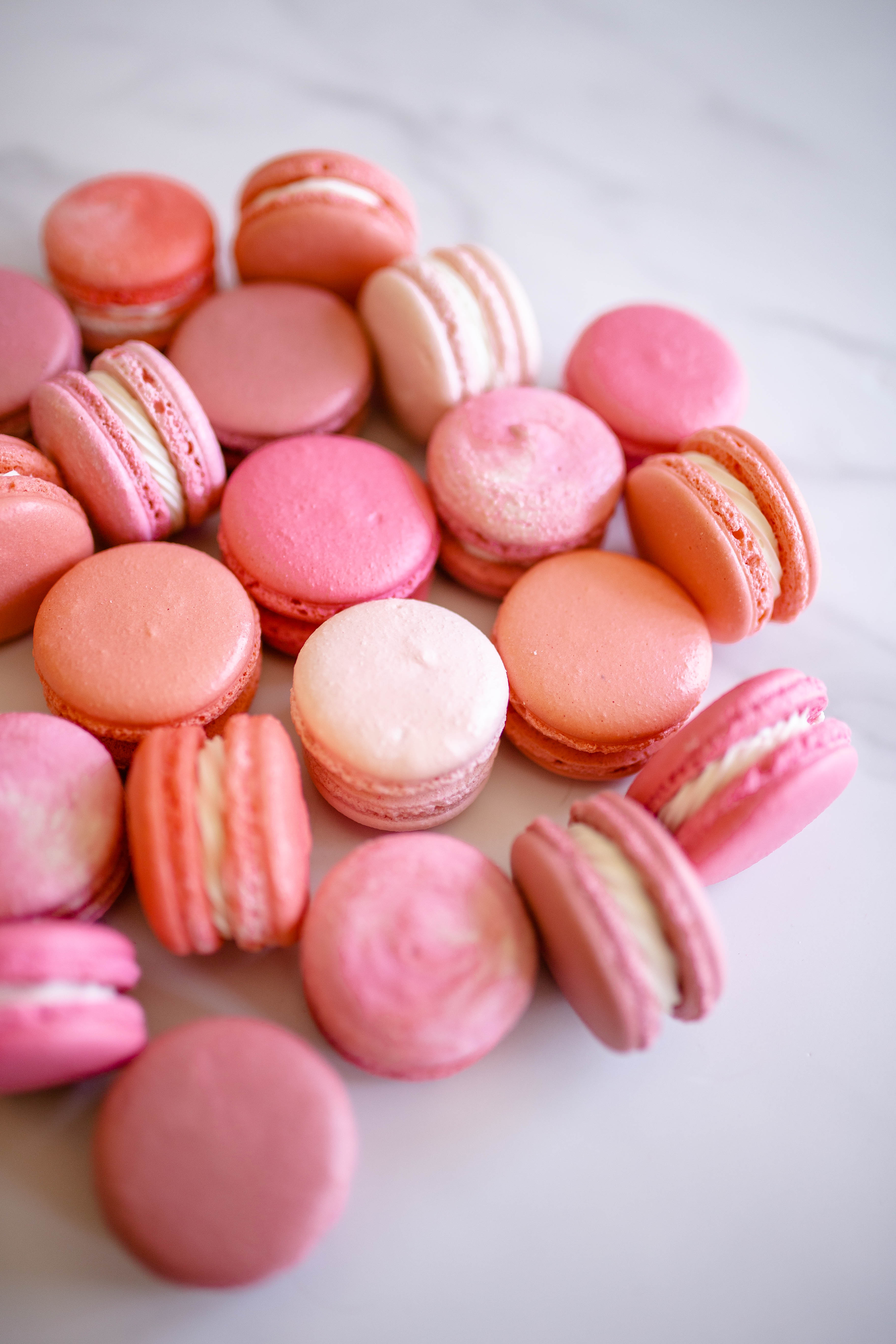 【正規品】exciting macaron ラブブ THE MONSTERS - Tasty Macarons Vinyl Face Blind Box | Blind